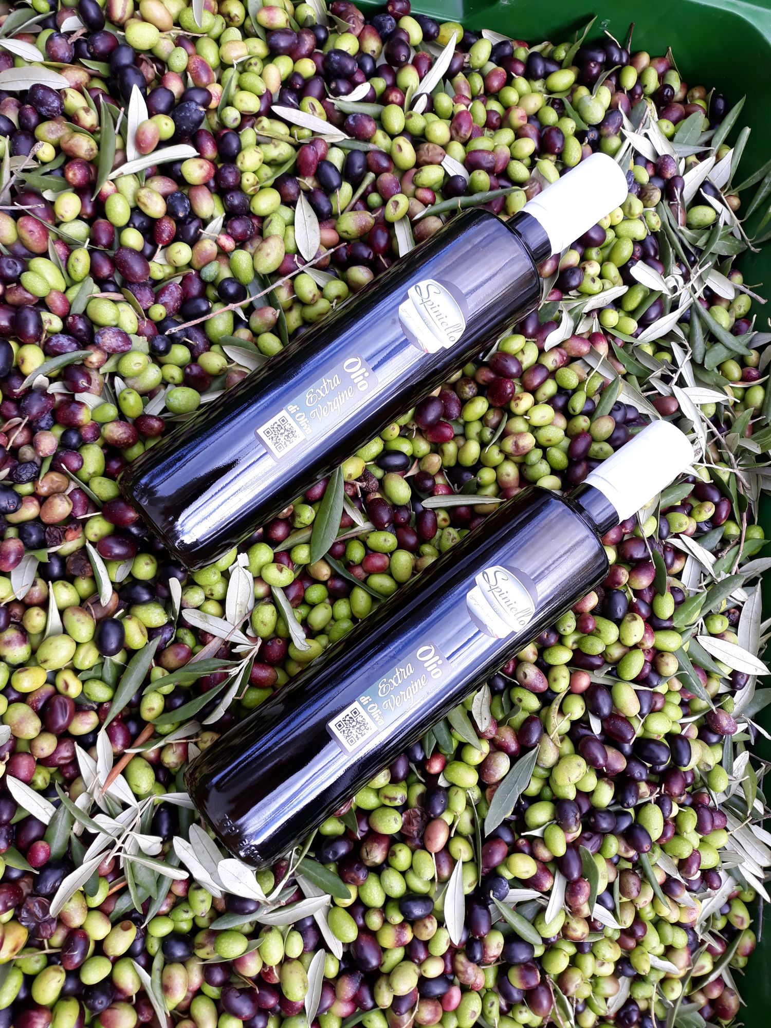 Italian Organic Extra Virgin Olive Oil 4.5L