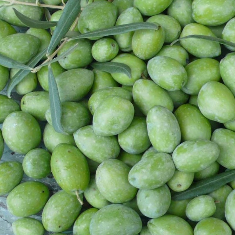 EXTRA VIRGIN OLIVE OIL 5L