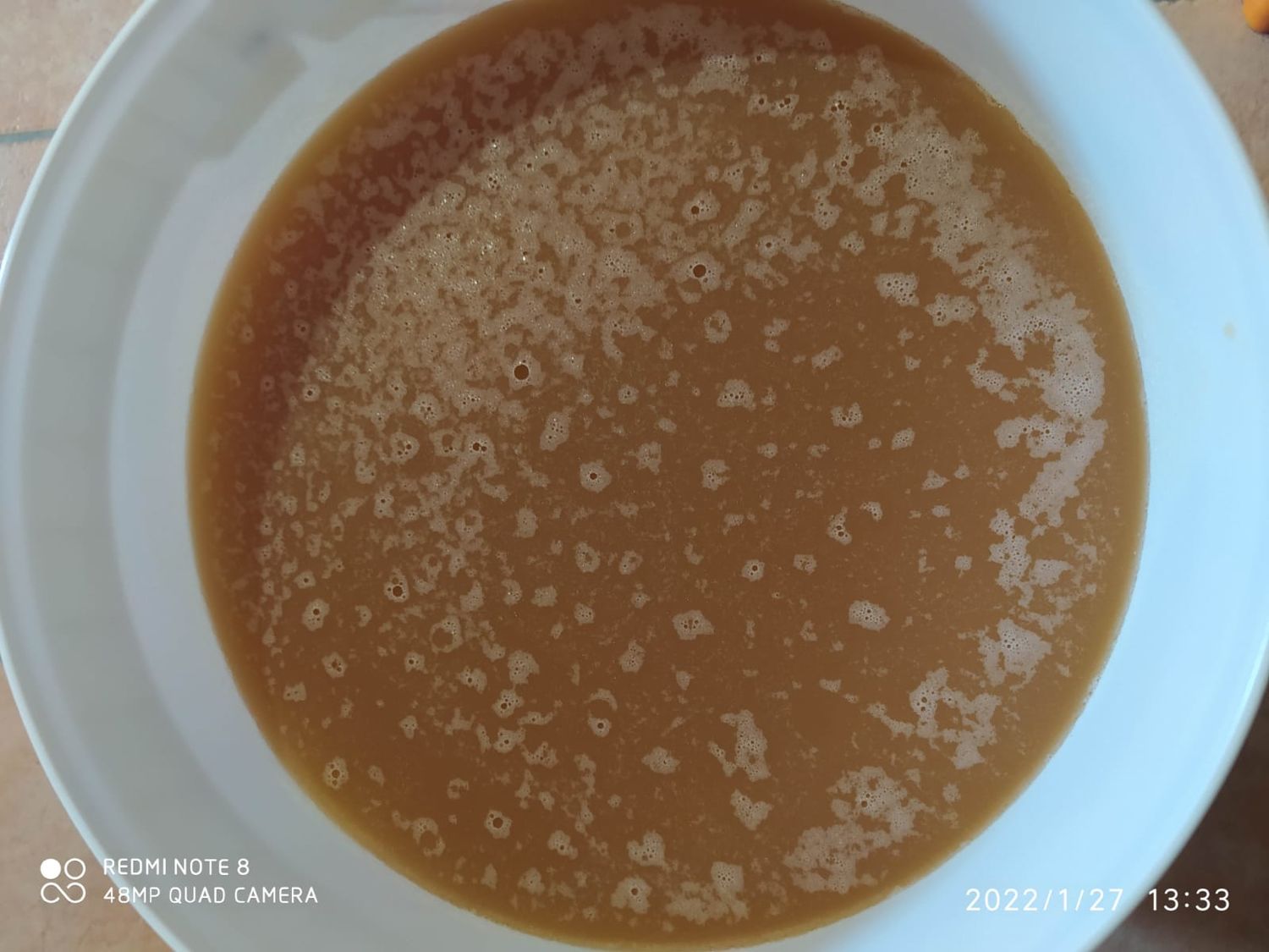 Flower Honey - in bucket 25kg