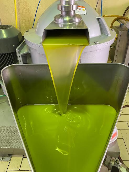 Butera Extra Virgin Olive Oil "Riserva Familiare" 500 ml
