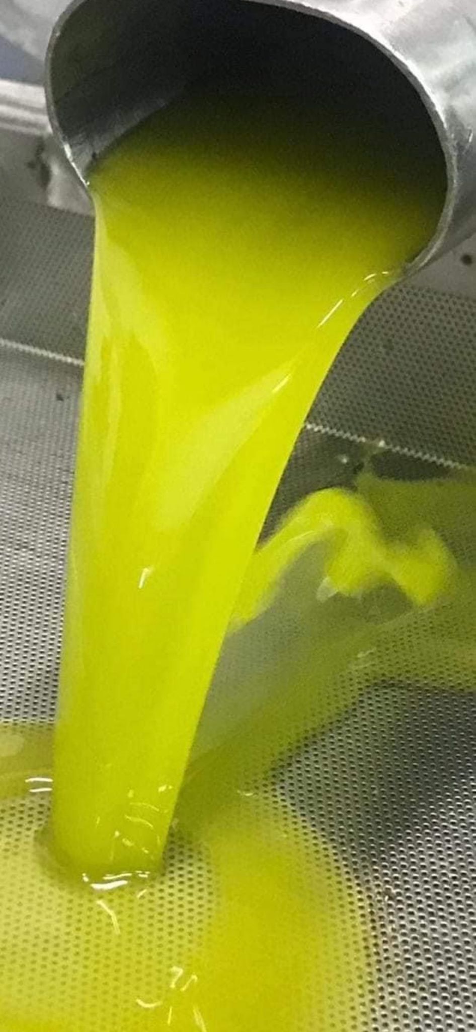 Extra virgin olive oil in a 5-litre tin