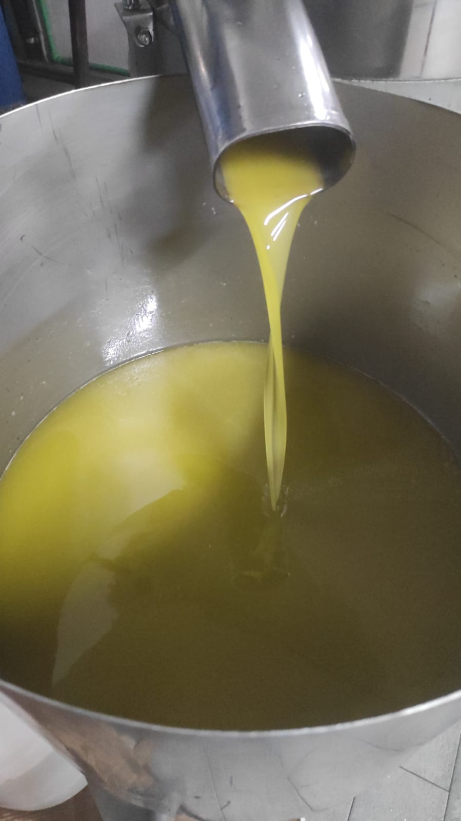 Extra virgin olive oil in a 5-litre tin