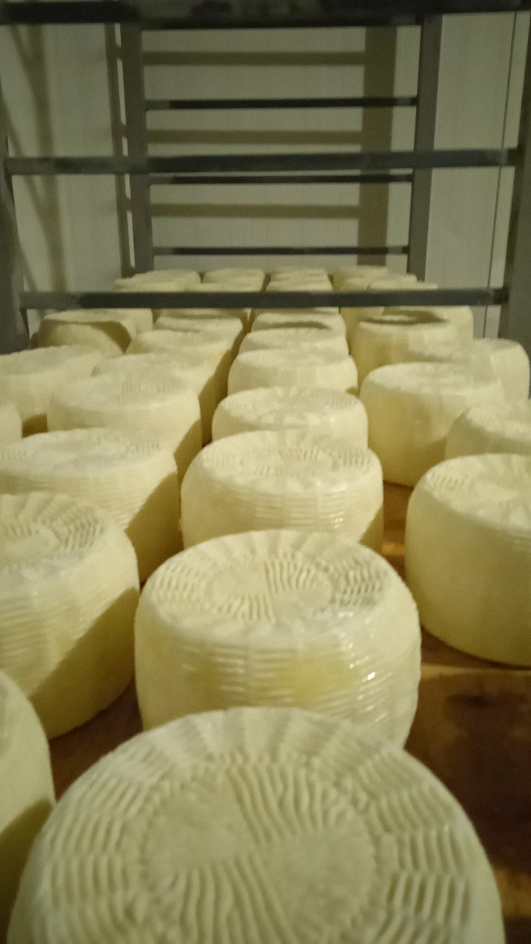 Semi-aged Pecorino cheese 500 g
