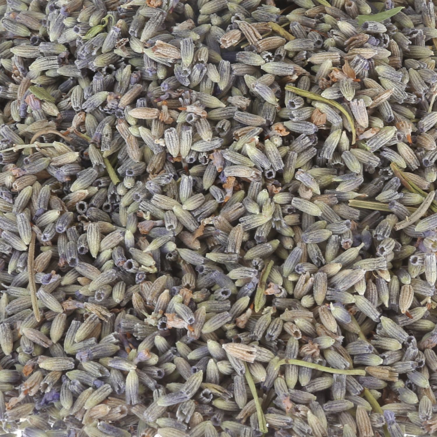 Lavender flower kg (Lavandula angustifolia)