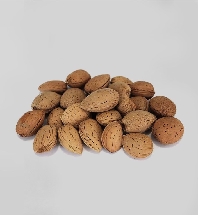 Sicilian organic almonds in shell - Pack of 1kg
