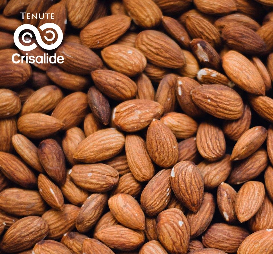 Organic Sicilian almonds without shell - Pack of 200gr