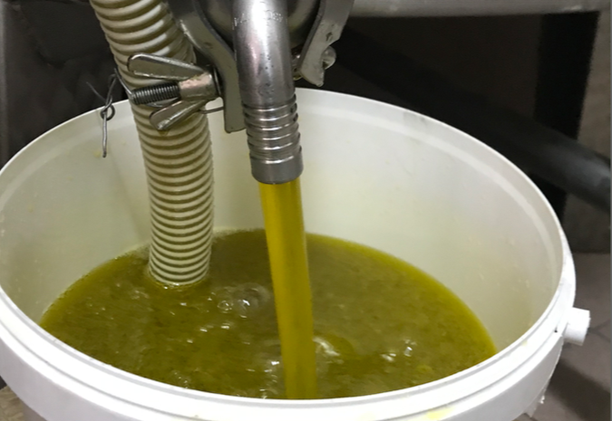 100% Italian Organic Extra Virgin Olive Oil 1 Tin of 5 Lt