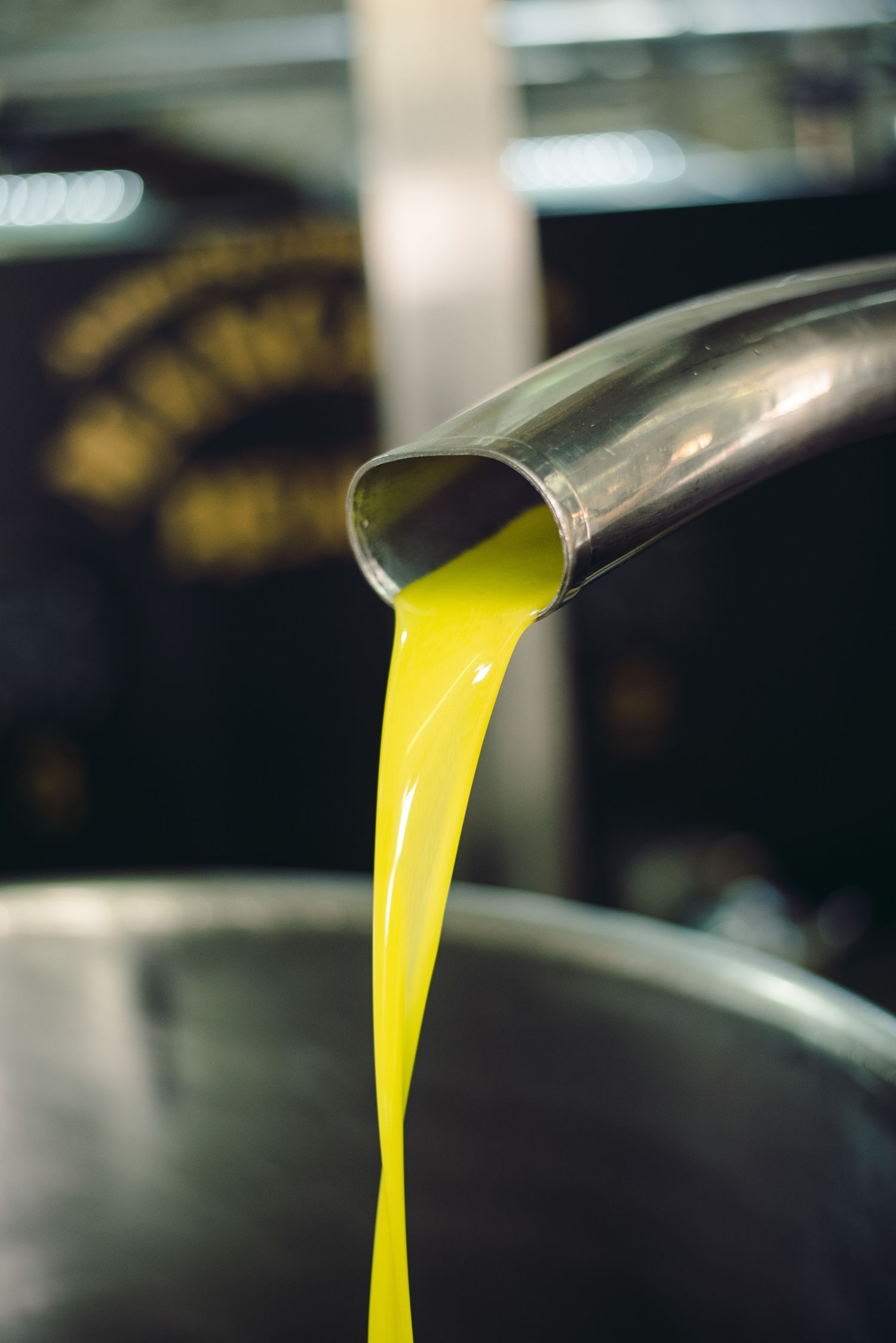 Extra Virgin Olive Oil of superior quality 1 liter - Tin