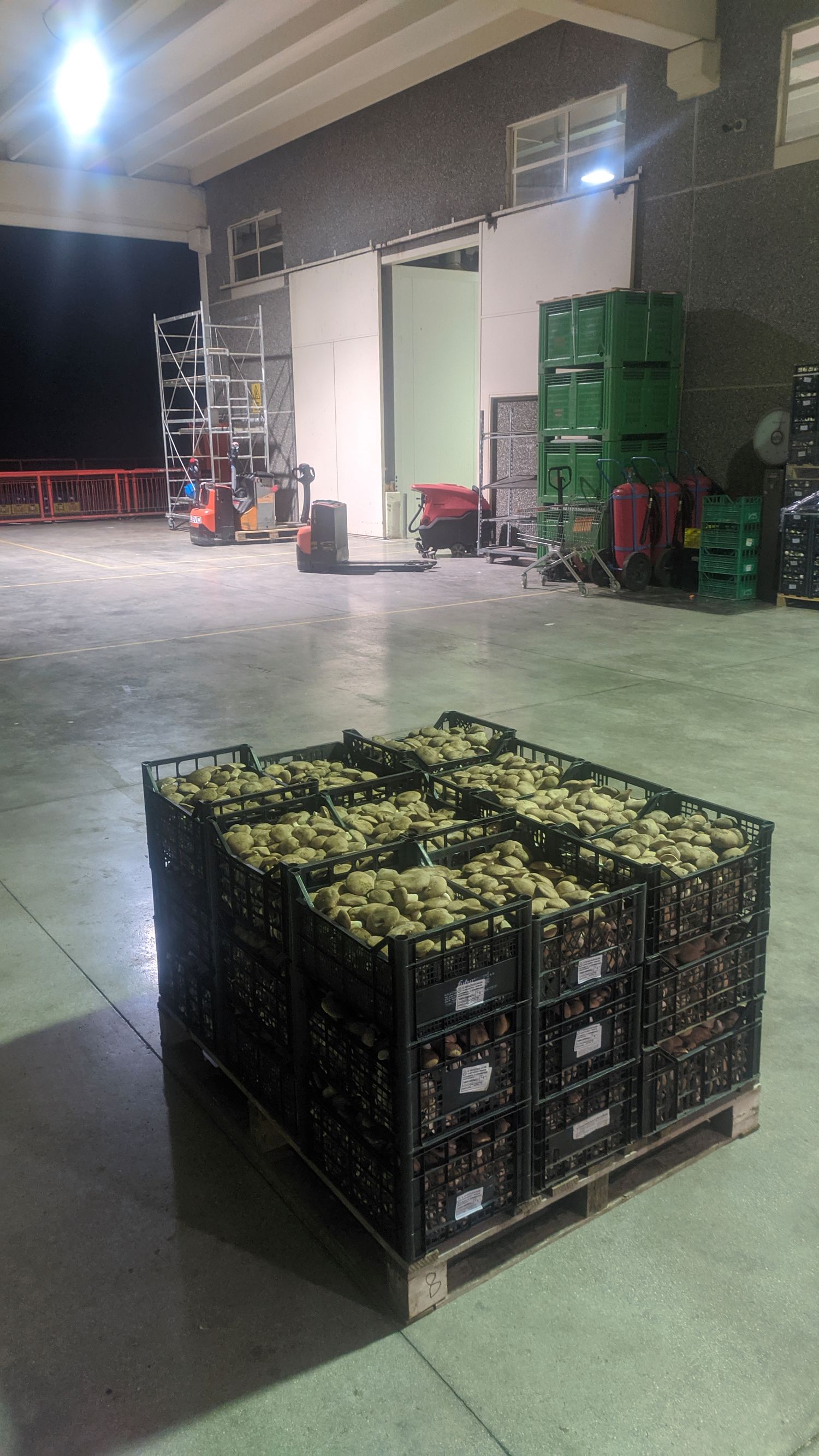 Mushrooms class A 1kg