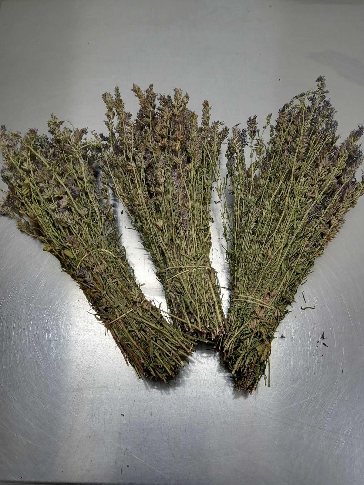 Bunch Hyssopus officinalis 1 kg package