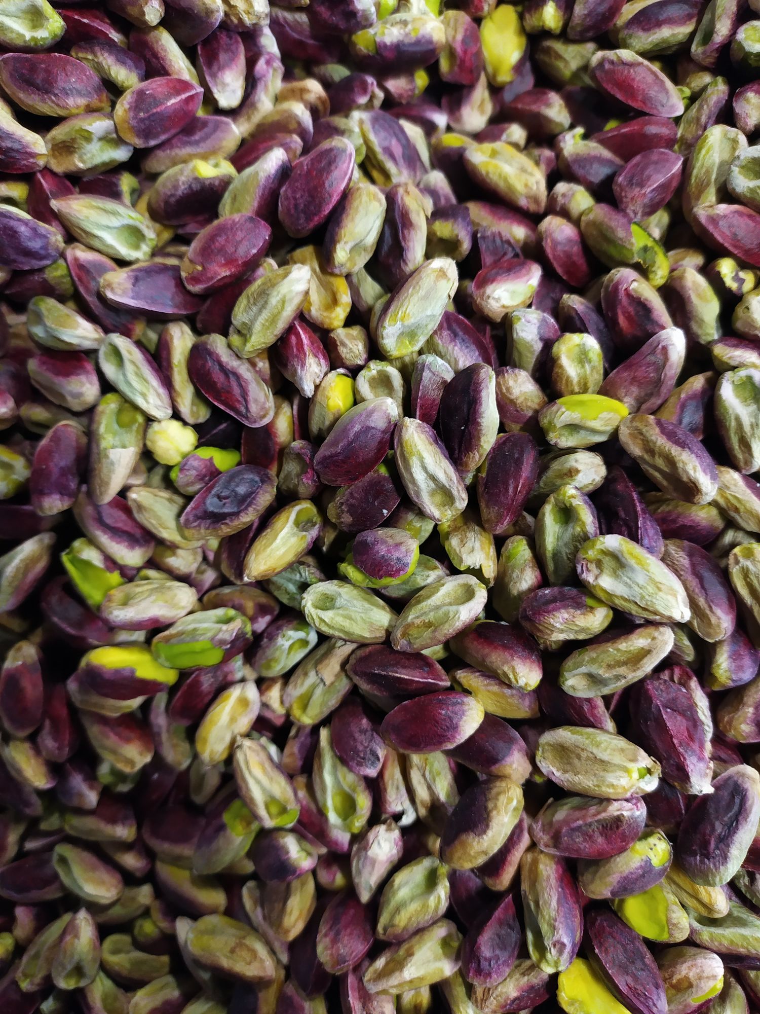 Pistachio kernel