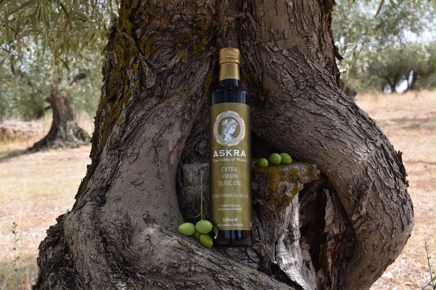 Askra The Valley of Muses Ultra Premium Extra Virgin Olive Oil 100ml Monovarietal Megaritiki