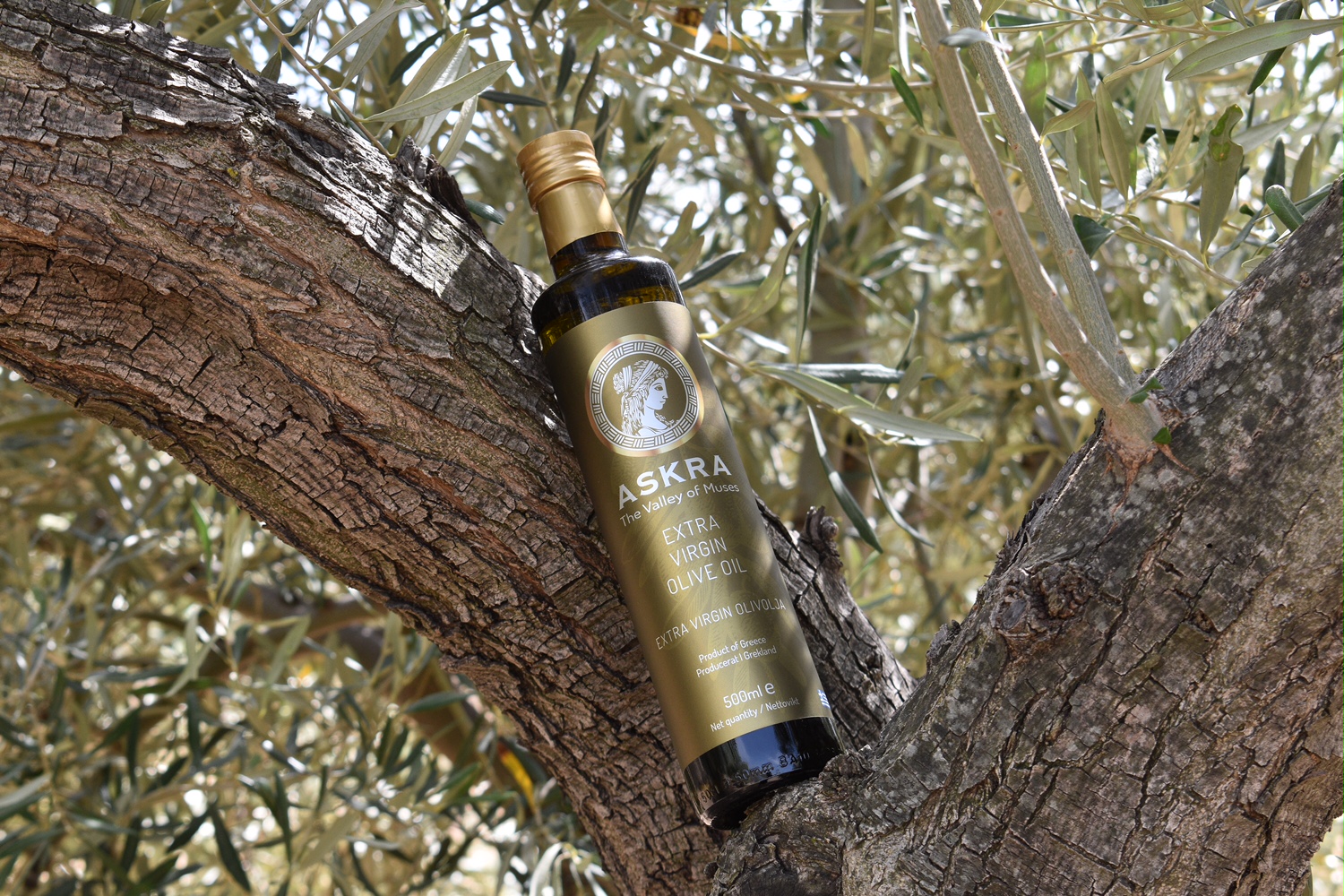 Askra The Valley of Muses Ultra Premium Extra Virgin Olive Oil 750ml Monovarietal Megaritiki