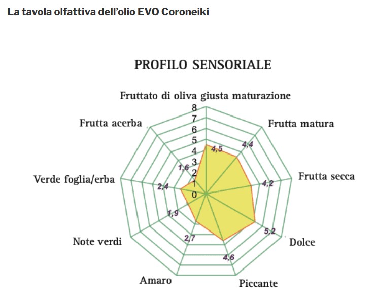 Coroneiki - Extra virgin olive oil monovarietal "Coroneiki" 5l