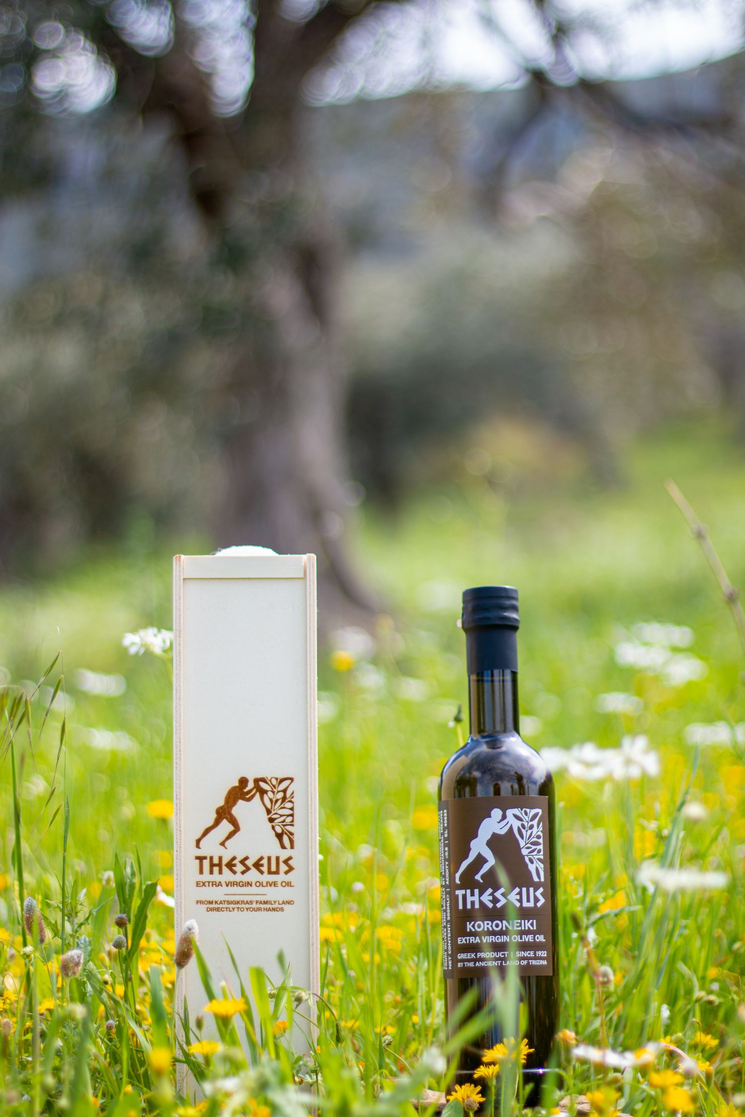 Wooden GIFT Box - 500ml Glass Bottle, MANAKI/KORONEIKI Variety