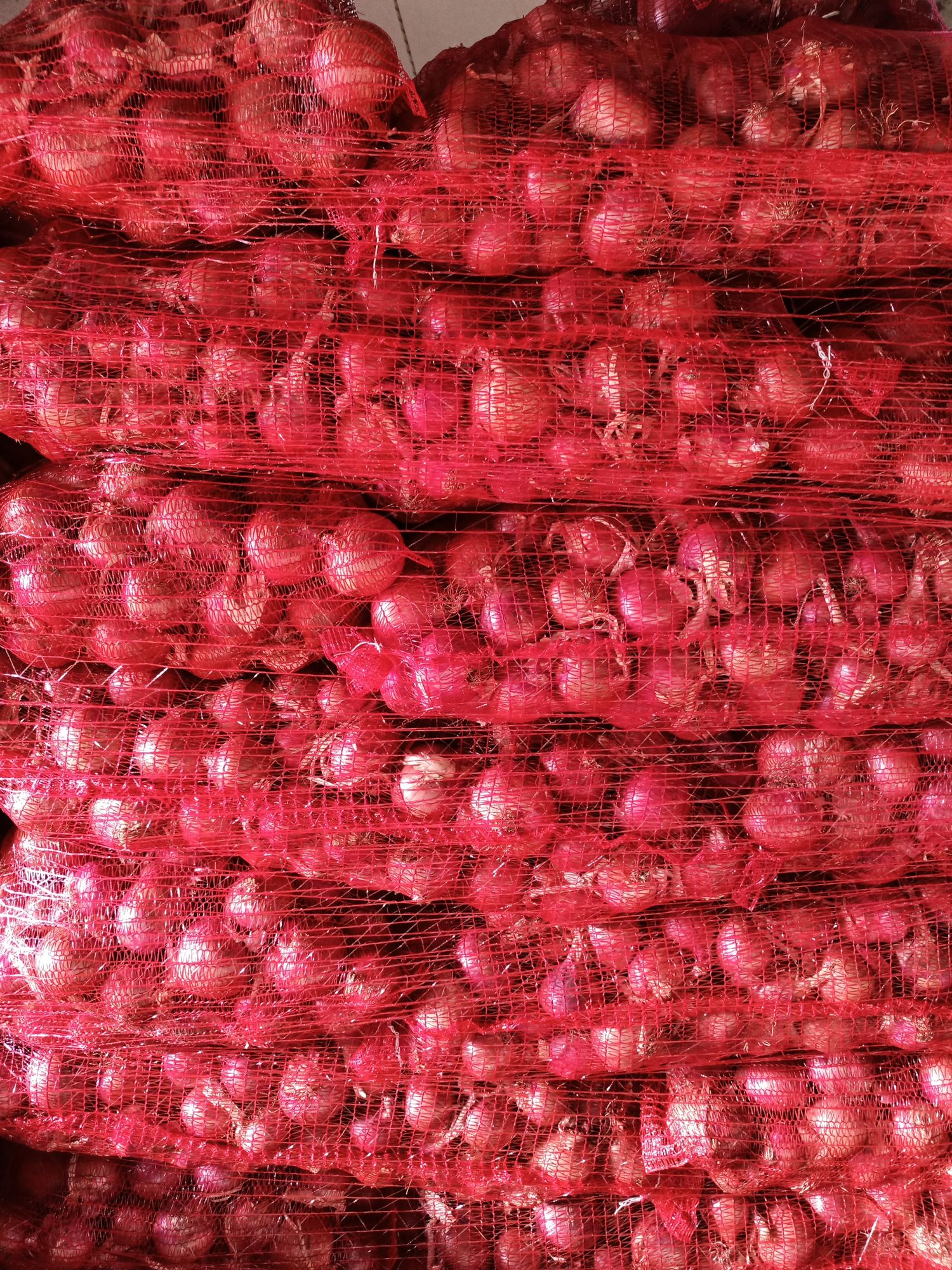 Red Onions - 10-30 kg bag price per kg