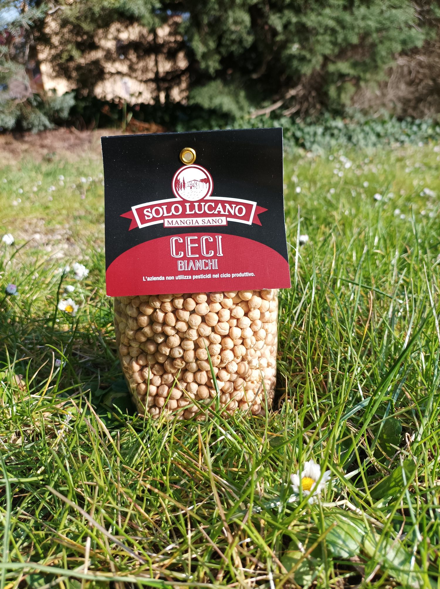 Sololucano Italian chickpeas - 400 gr