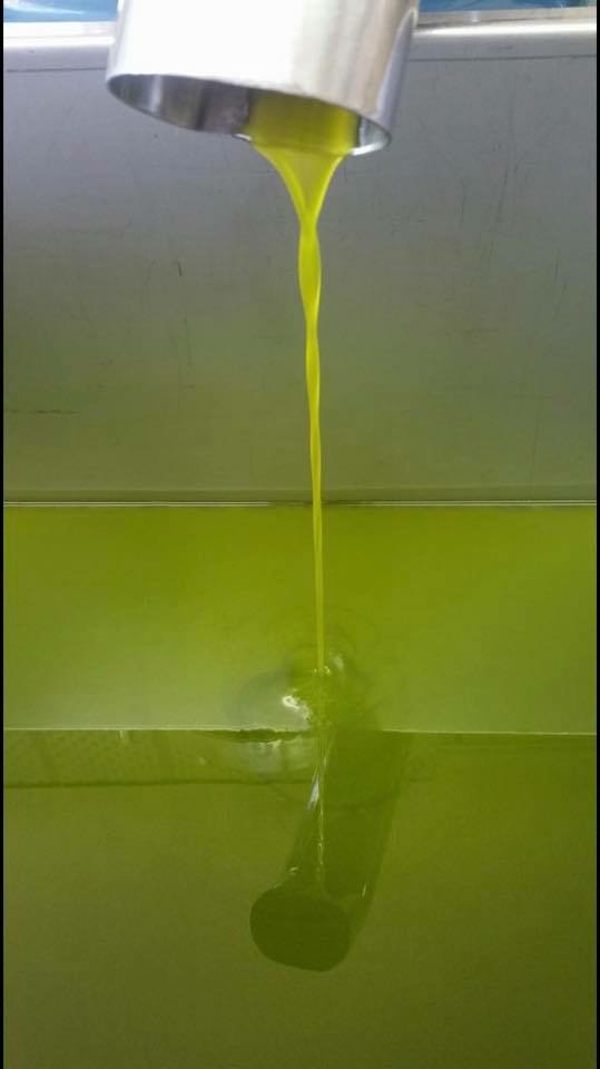 Extra Virgin Olive Oil 10L Bag-In-Box Italy