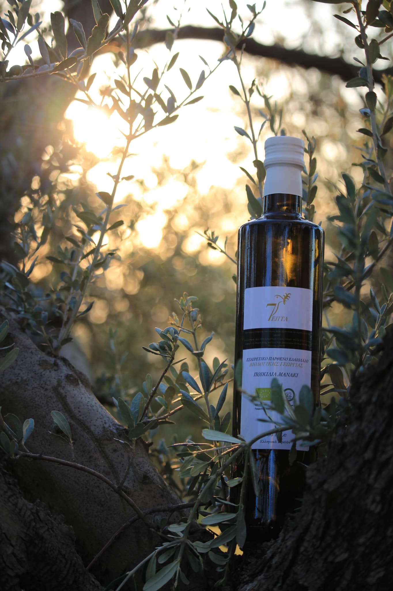 7 - Organic extra virgin olive oil 750ml