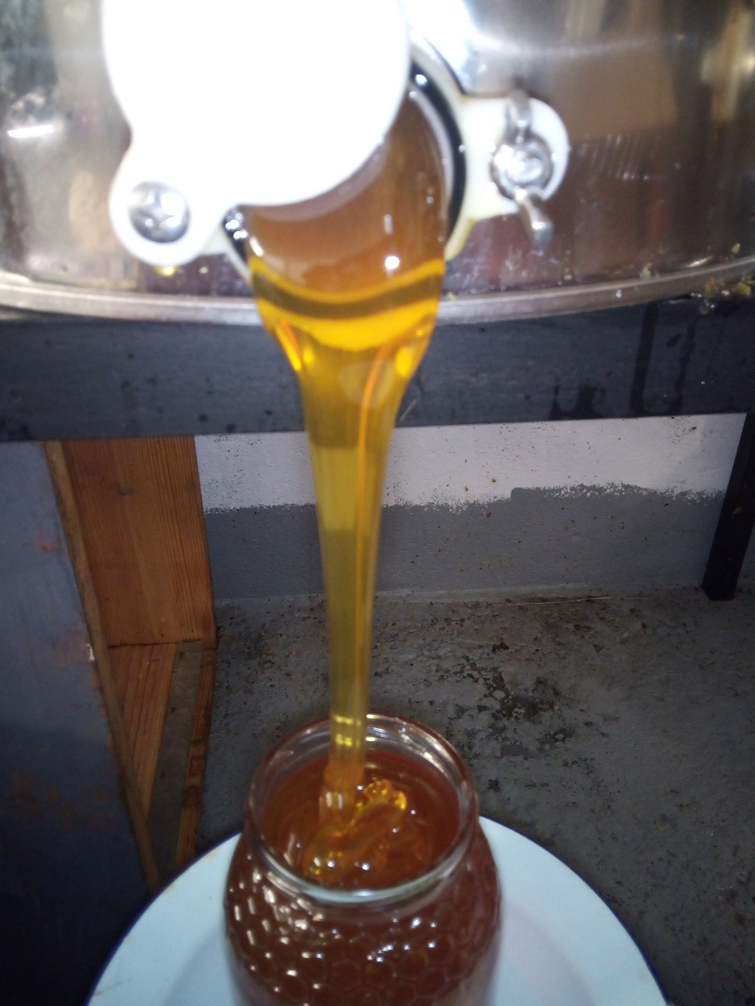 Flower Honey 500 gr