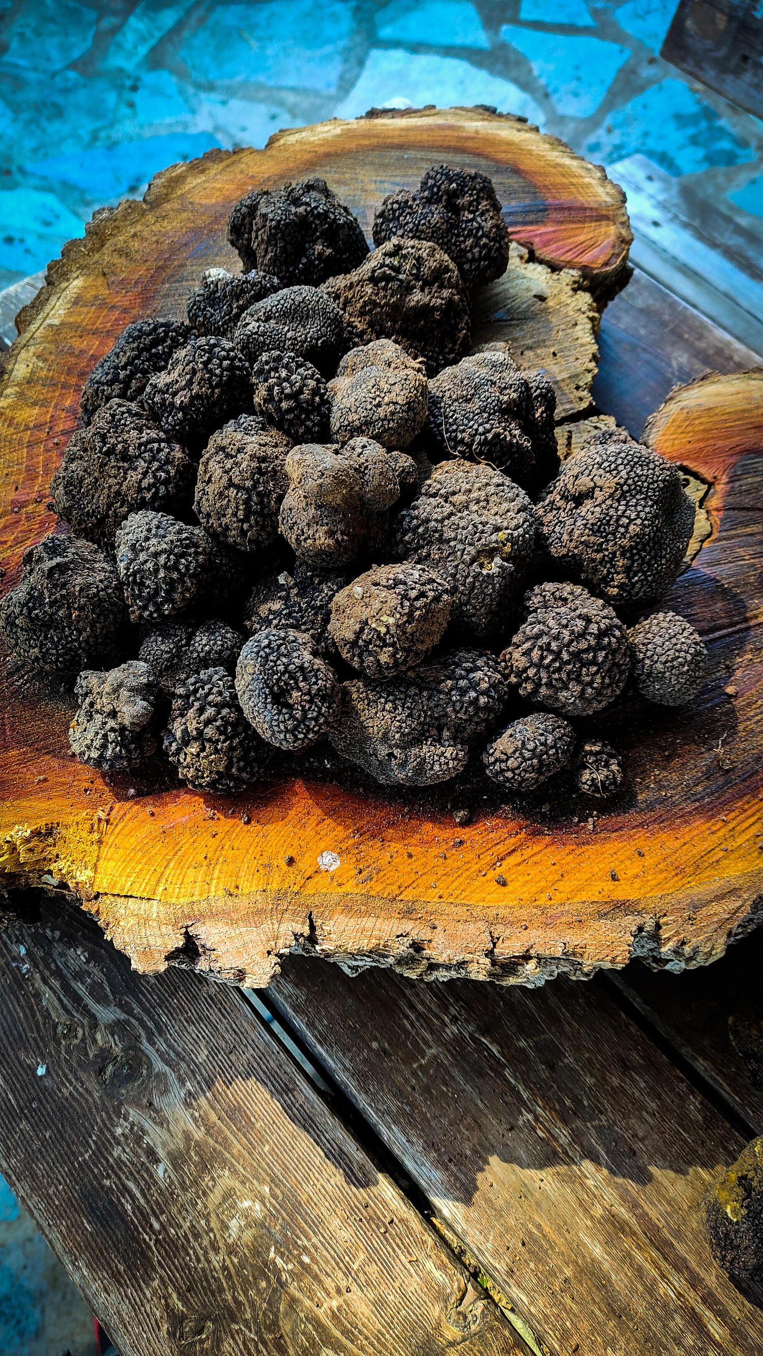 Black summer truffle Tuber eastivum 200g