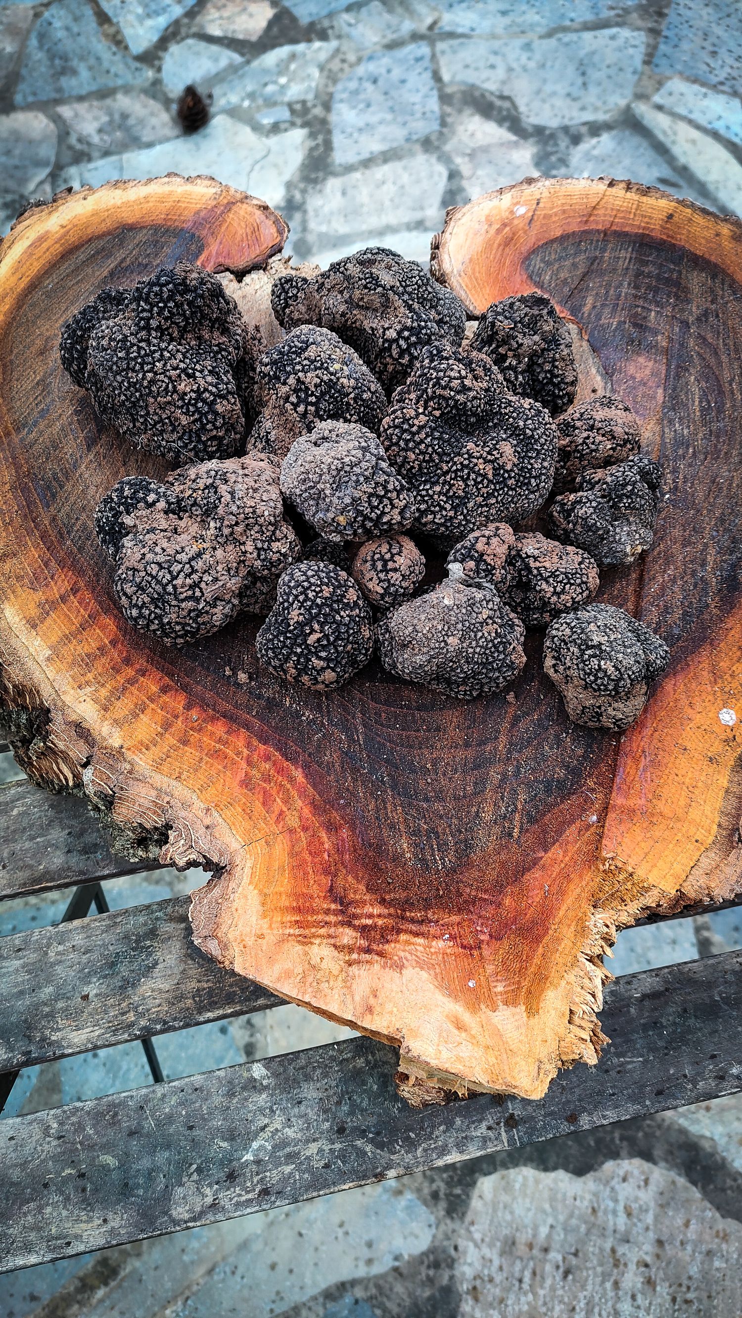 Black summer truffle Tuber eastivum 200g