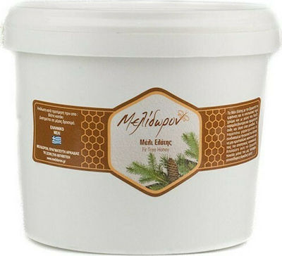 Fir Honey from Mainalo with golden highlights 3 kg