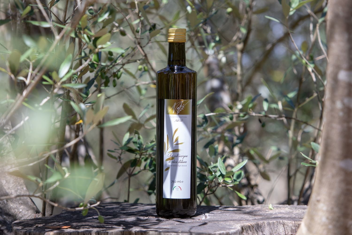 Extra Virgin Olive Oil in 750 ml bottles