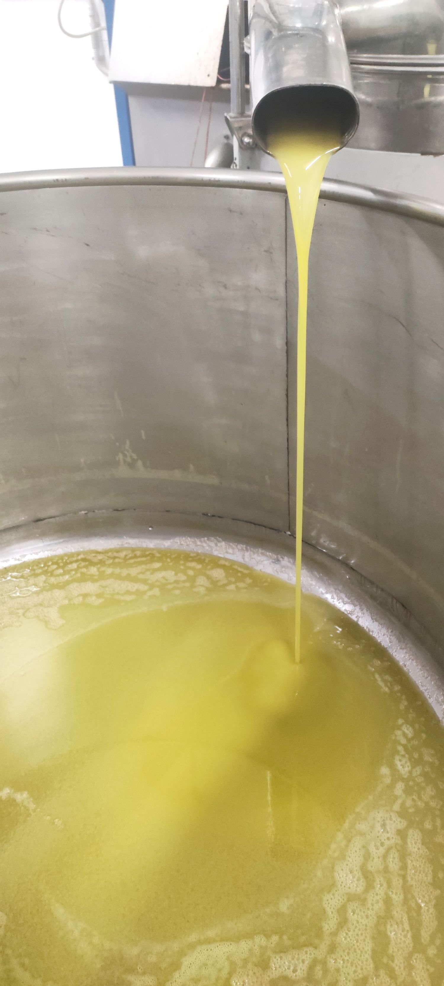 Extra Virgin Olive Oil 10L Metal Can Italy