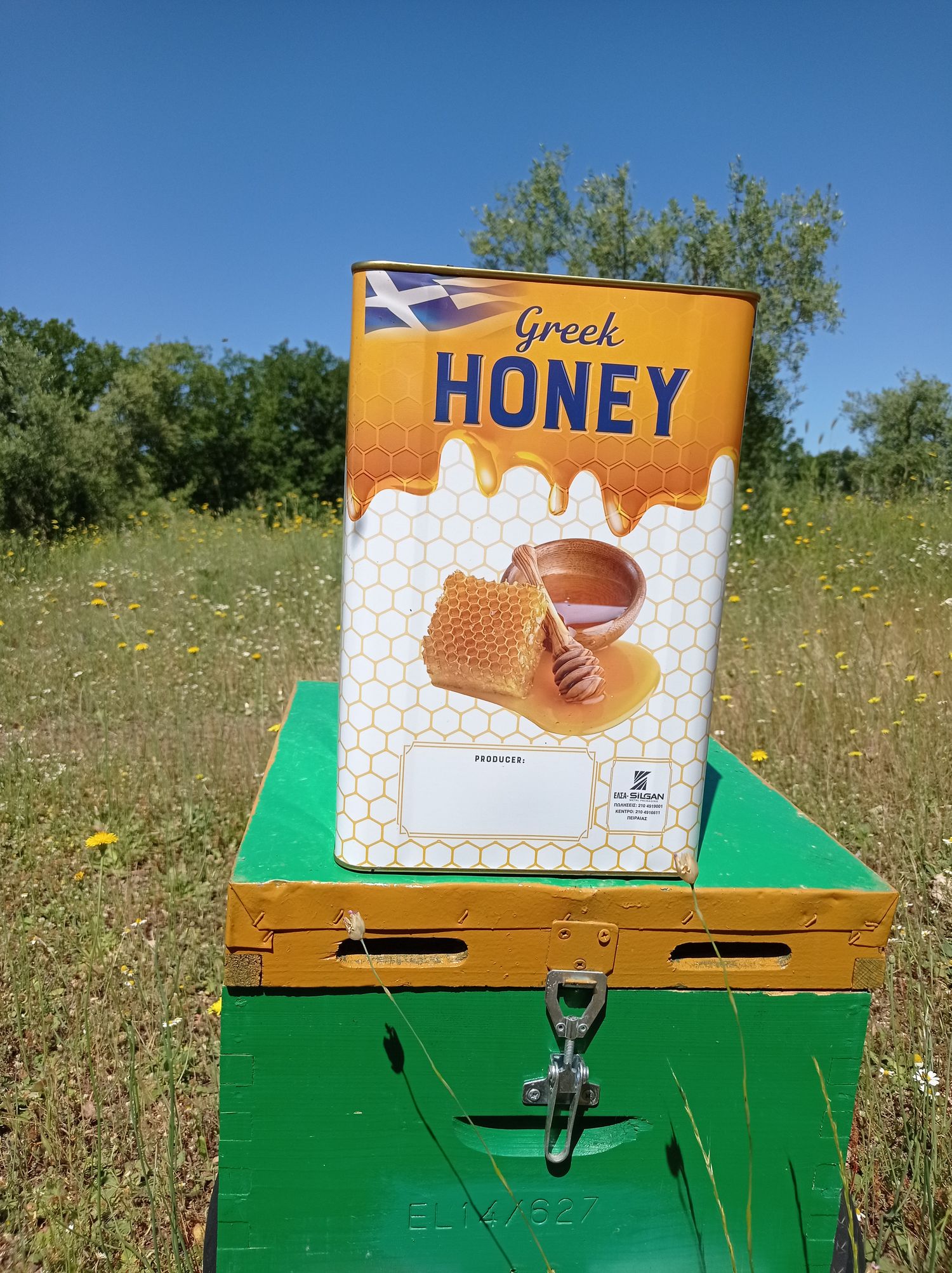 Oak - Oak Honey 26 kg container wholesale sale. The Honey is wonderful and is collected in the beautiful oak and chestnut forest in Panopoulos, Ilia