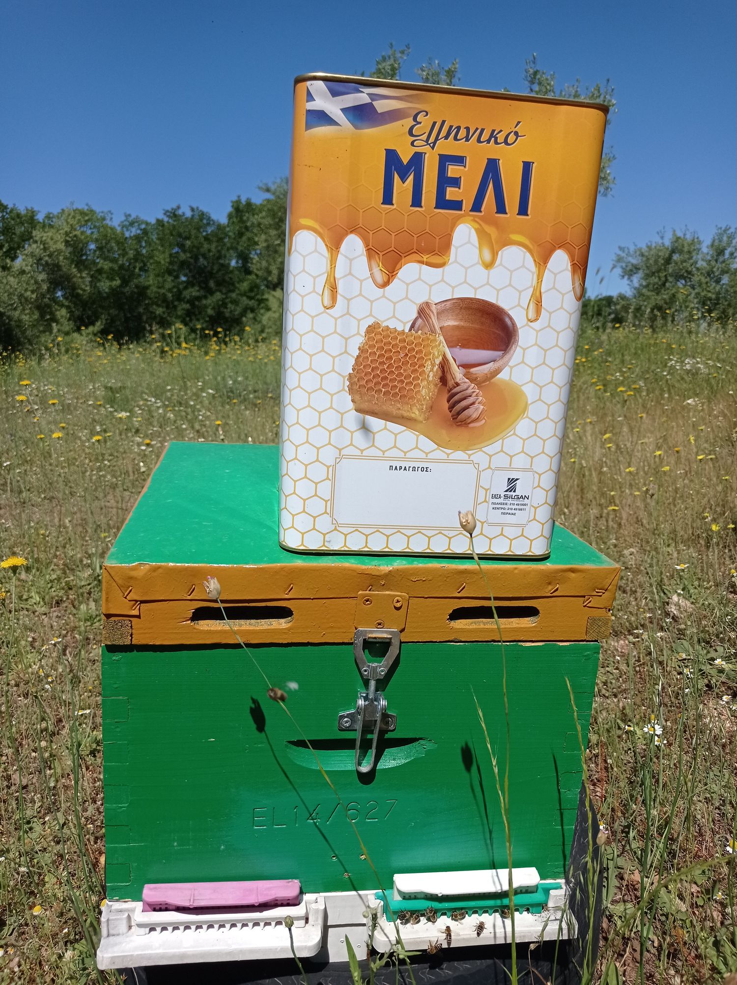 Oak - Oak Honey 26 kg container wholesale sale. The Honey is wonderful and is collected in the beautiful oak and chestnut forest in Panopoulos, Ilia