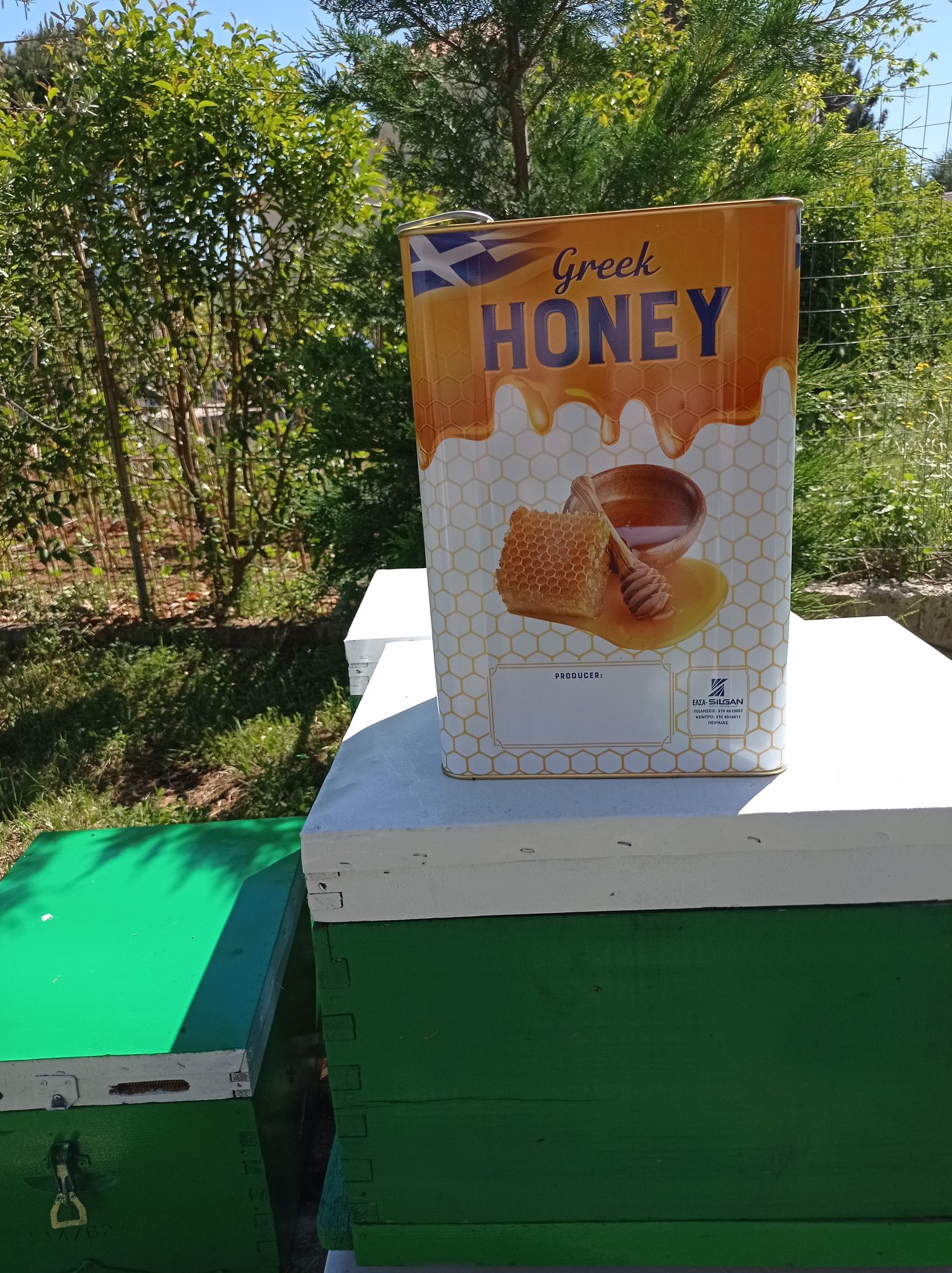 Oak - Oak Honey 26 kg container wholesale sale. The Honey is wonderful and is collected in the beautiful oak and chestnut forest in Panopoulos, Ilia