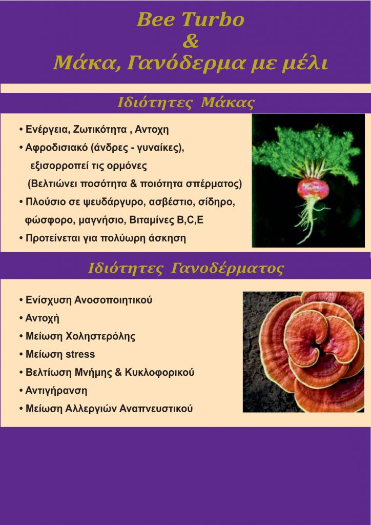 Maca & Ganoderma honey (BIO) 450g
