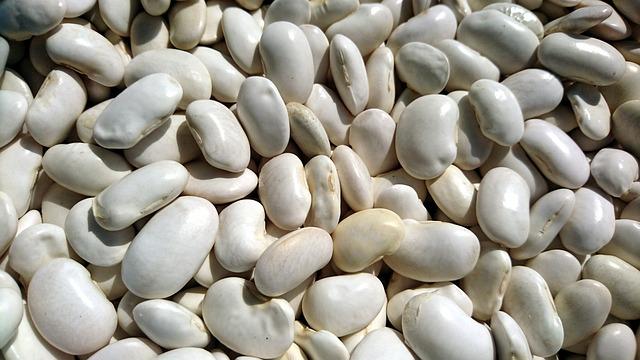 White beans in bulk