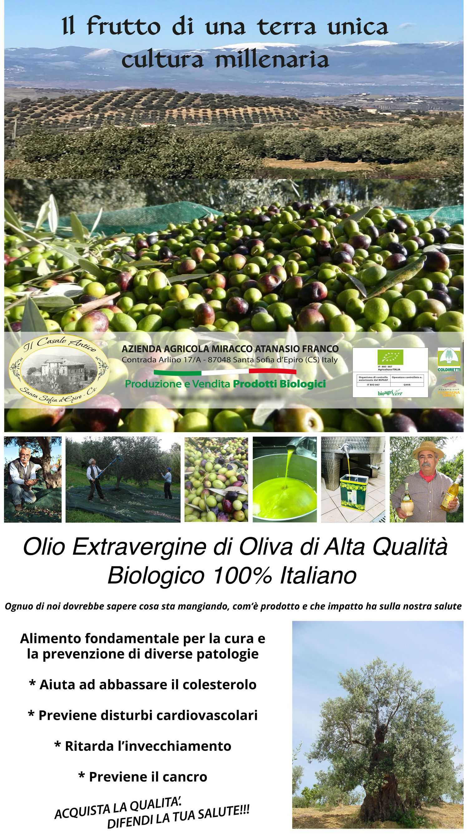 100% Italian Organic Extra Virgin Olive Oil 1 Tin of 5 Lt