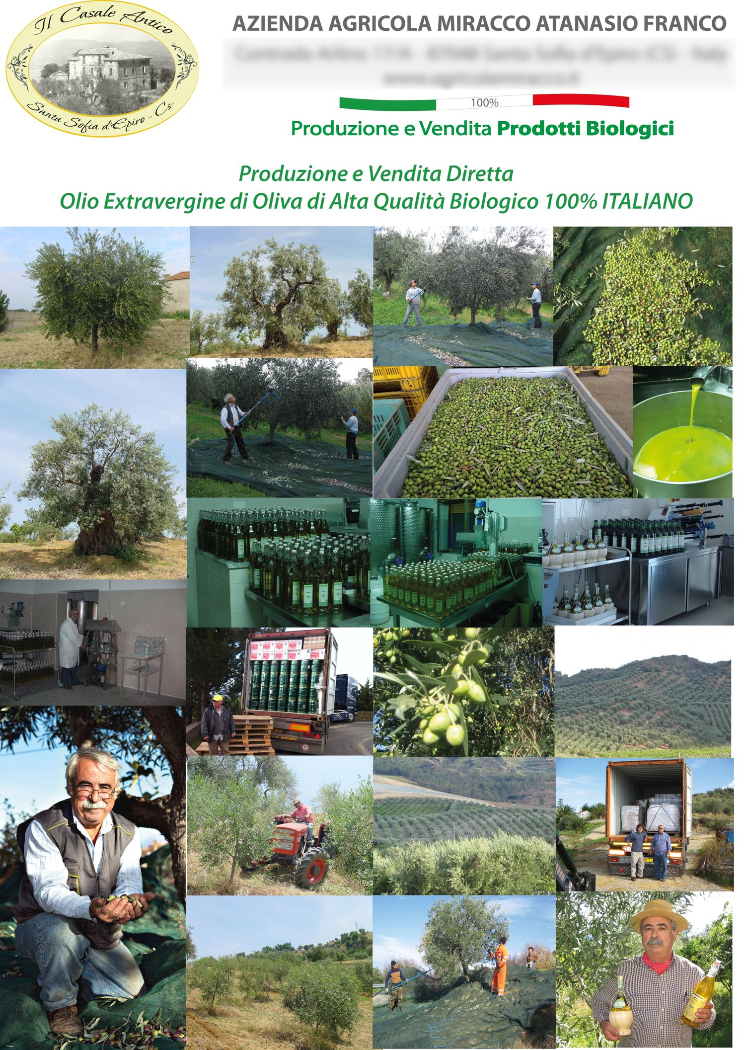 100% Italian Organic Extra Virgin Olive Oil 1 Tin of 5 Lt