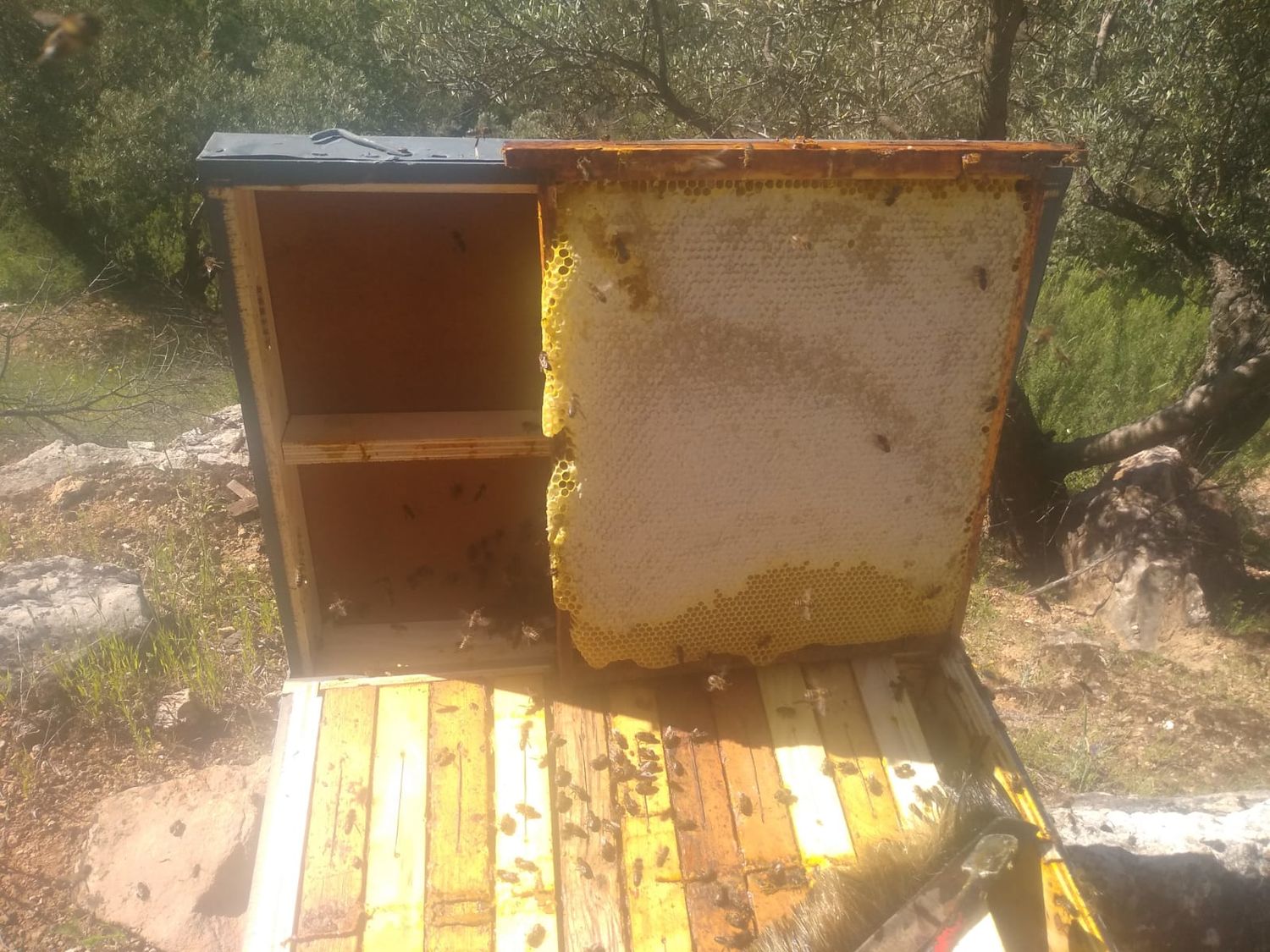 Honeycomb. One hundred per cent handmade production, always respecting the environment.