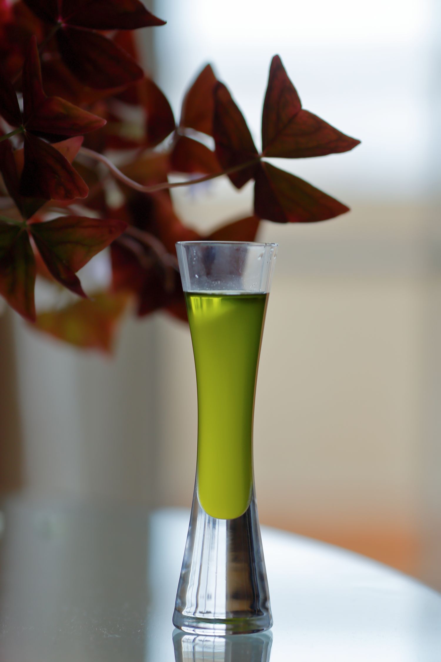 EVOO Extra Virgin Olive Oil, Produced in the mountains of Alicante. Packaged in glass bottles of 500 ml, in boxes of 6 pieces. Very special blend of the varieties Alfafarenca, Banqueta and Manzanilla Villalonga.