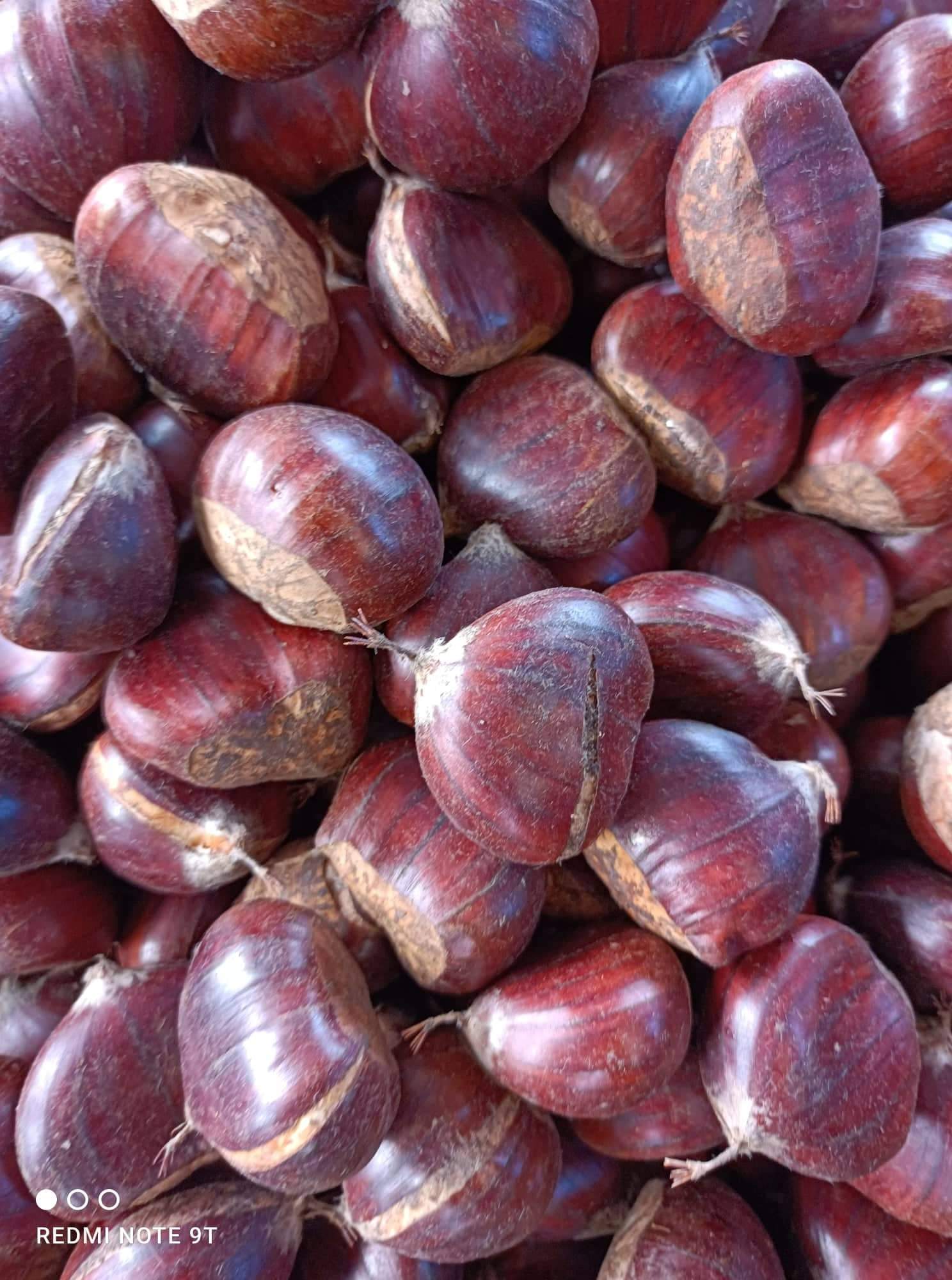 Chestnuts from Pelion - 5kg