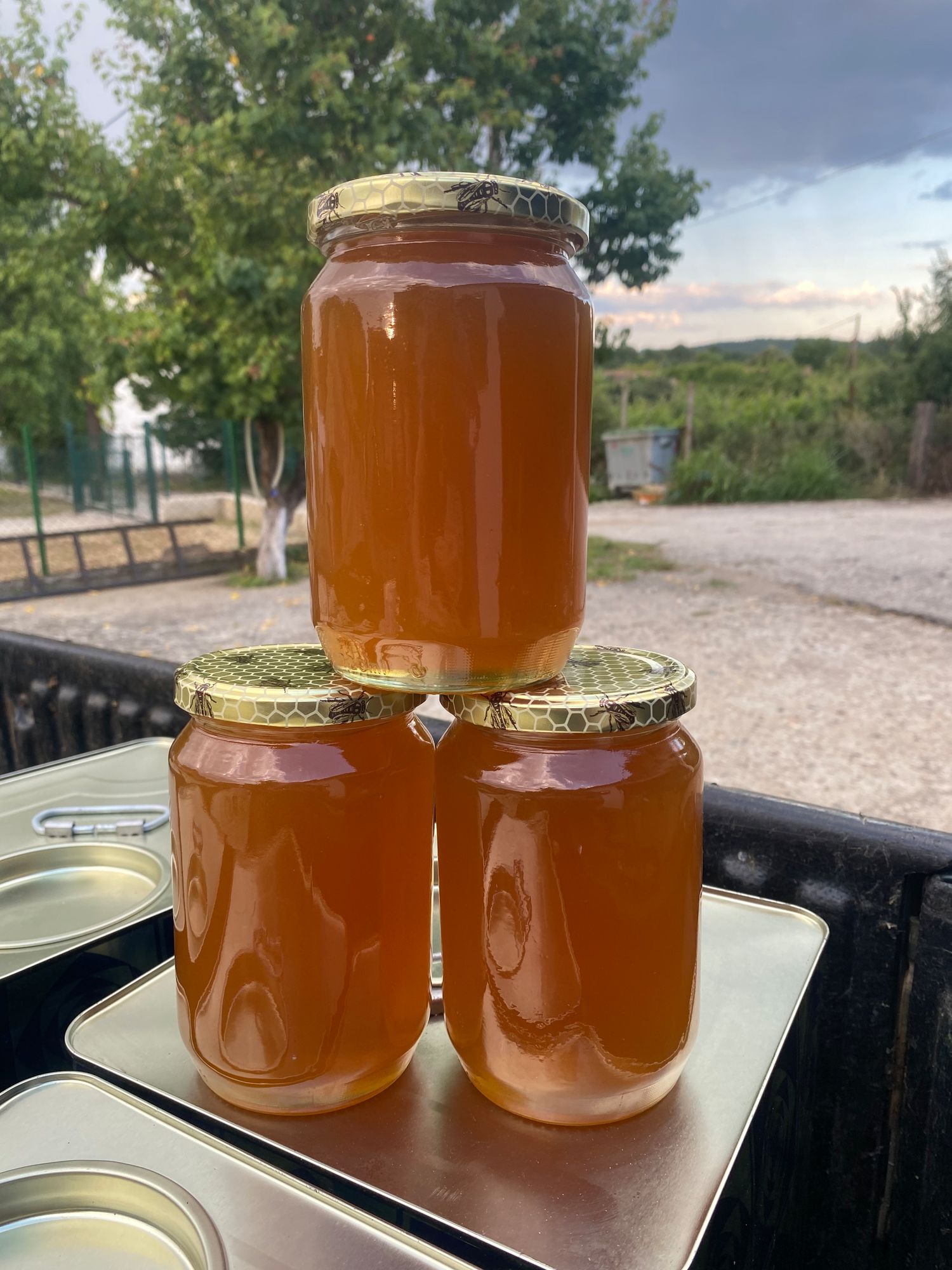 Acacia honey is extremely tasty with many properties from Evros 980gr