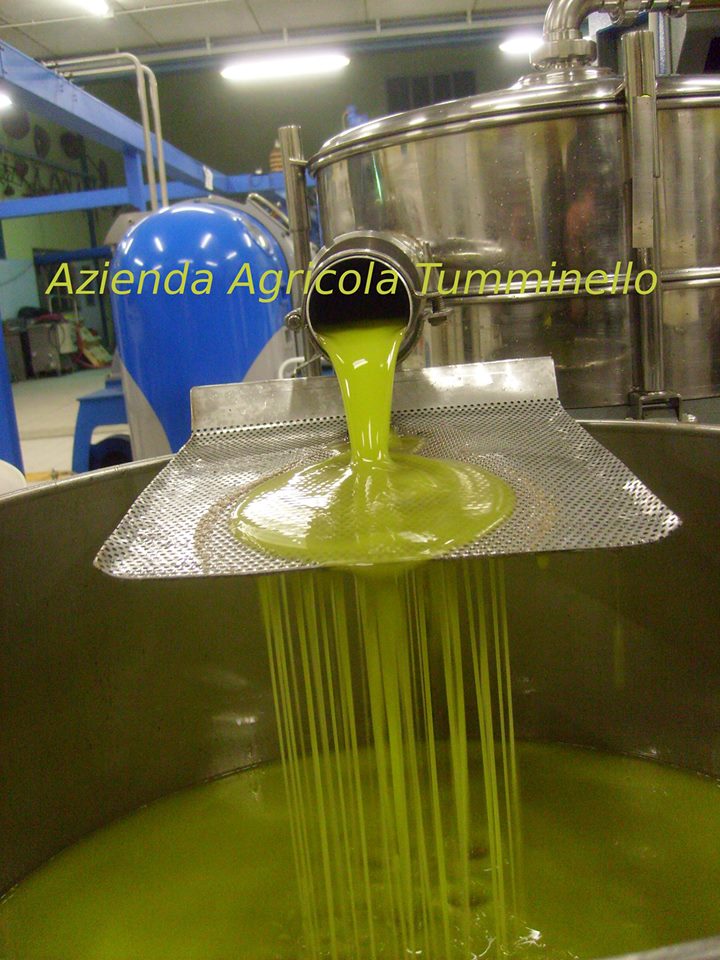 Extra Virgin Olive Oil 100% Sicily 2023/2024 - 30 liters (6 metal cans of 5 liters)