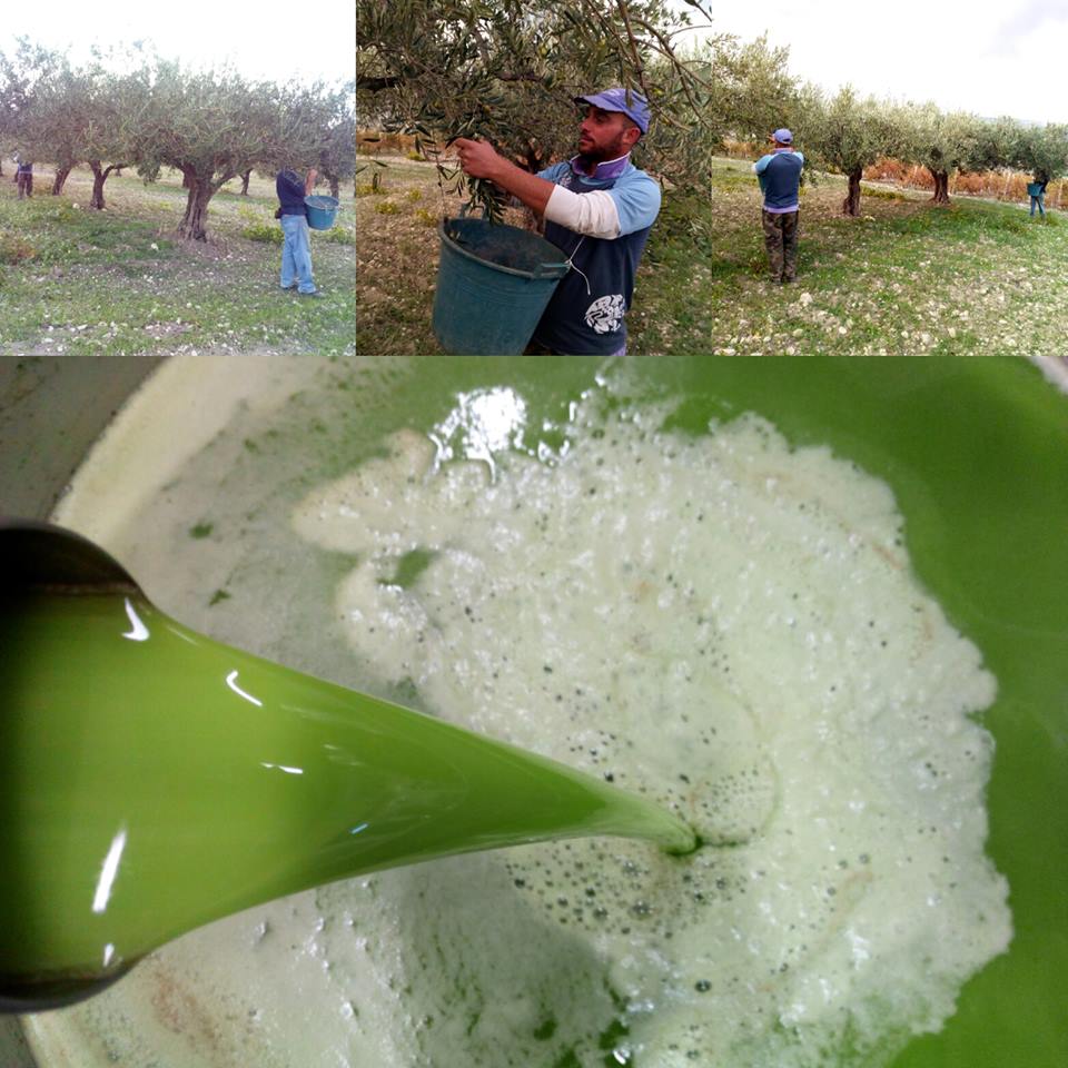 Extra Virgin Olive Oil 100% Sicily 2023/2024 - 30 liters (6 metal cans of 5 liters)