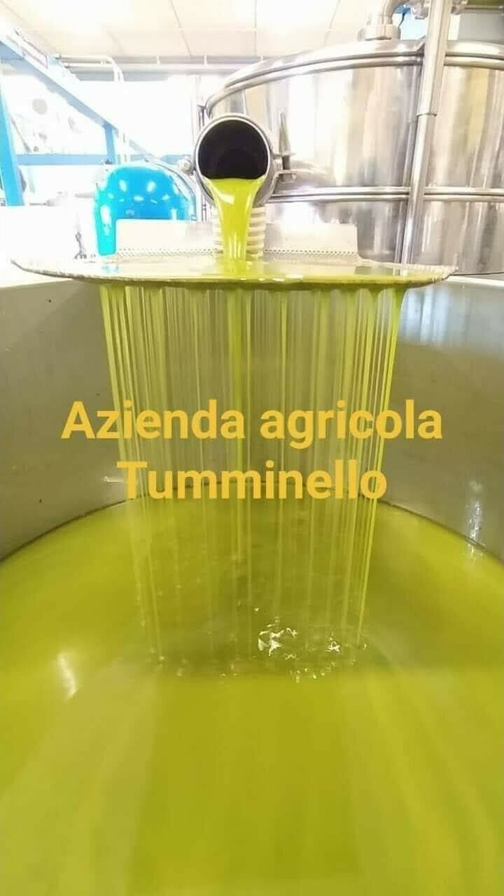 Extra Virgin Olive Oil 100% Sicily 2023/2024 - 30 liters (6 metal cans of 5 liters)