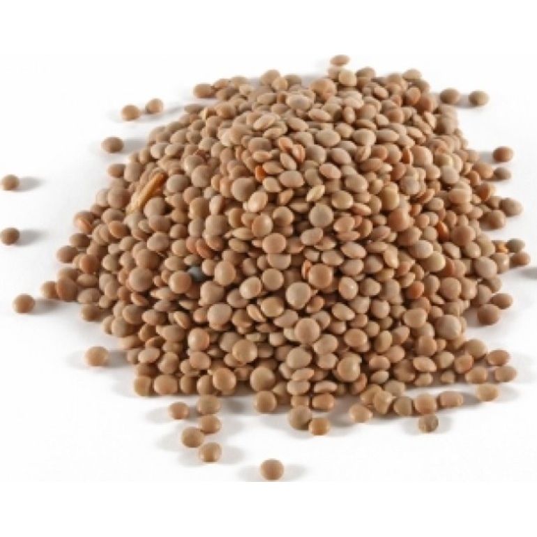 Fine lentils "Bio Plus" 500gr