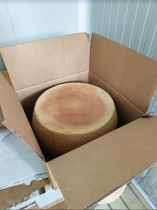 Grana Padano PDO (PDO/AOP) - 10 months - whole wheel
