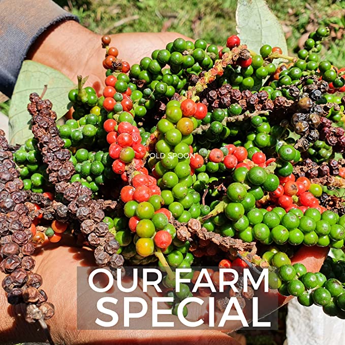 Black Pepper | Sabut Kali Mirch | Whole Black Peppercorn | Malnad Special Pepper 100% Naturally Processed - Unpolished - 1Kgs