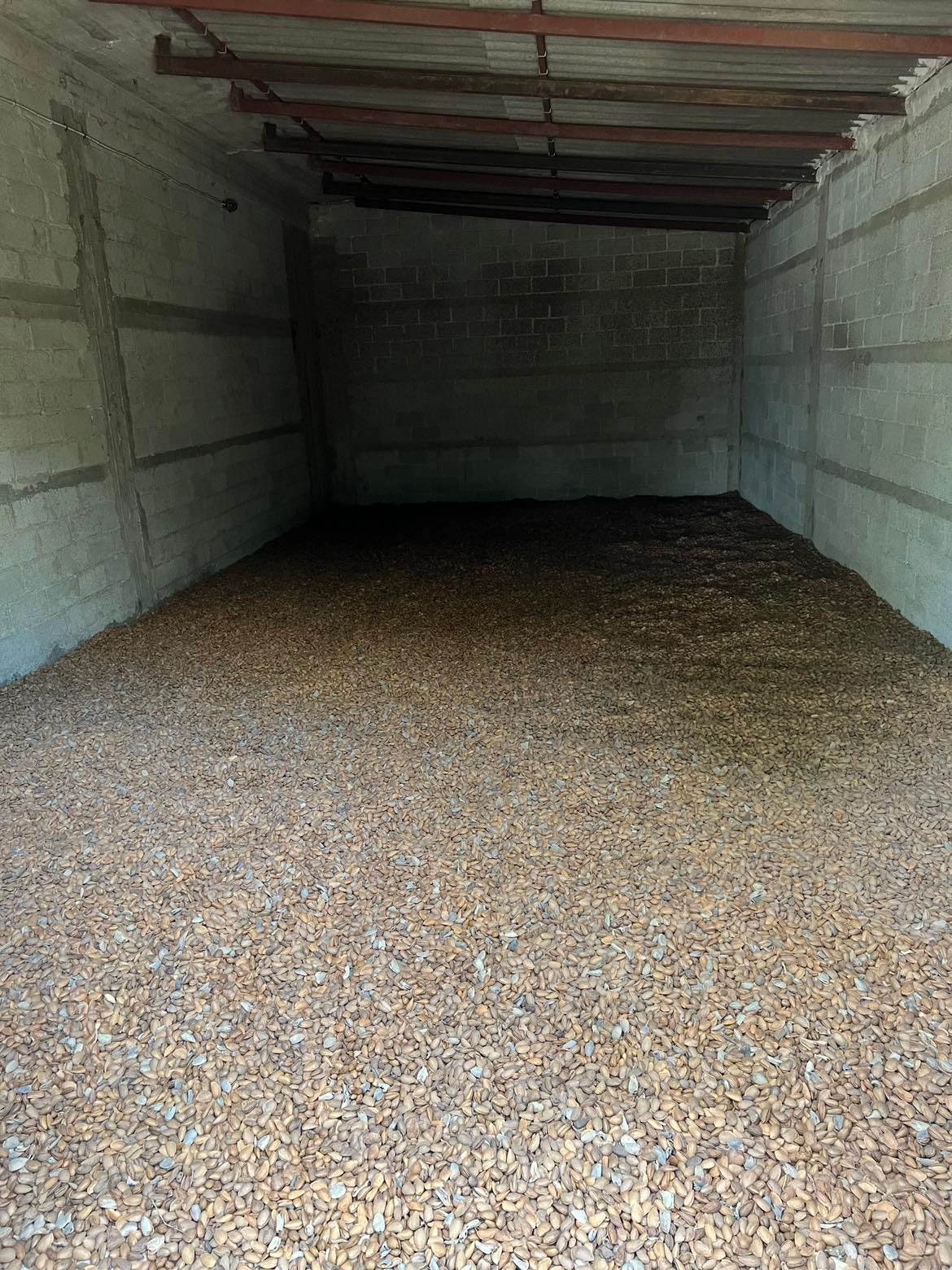 In shell almonds Ferragnes in Shel - Price per Kg