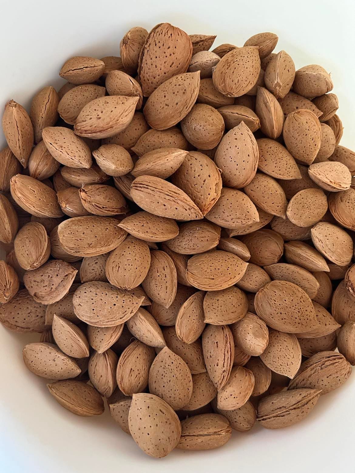 In shell almonds Ferragnes in Shel - Price per Kg