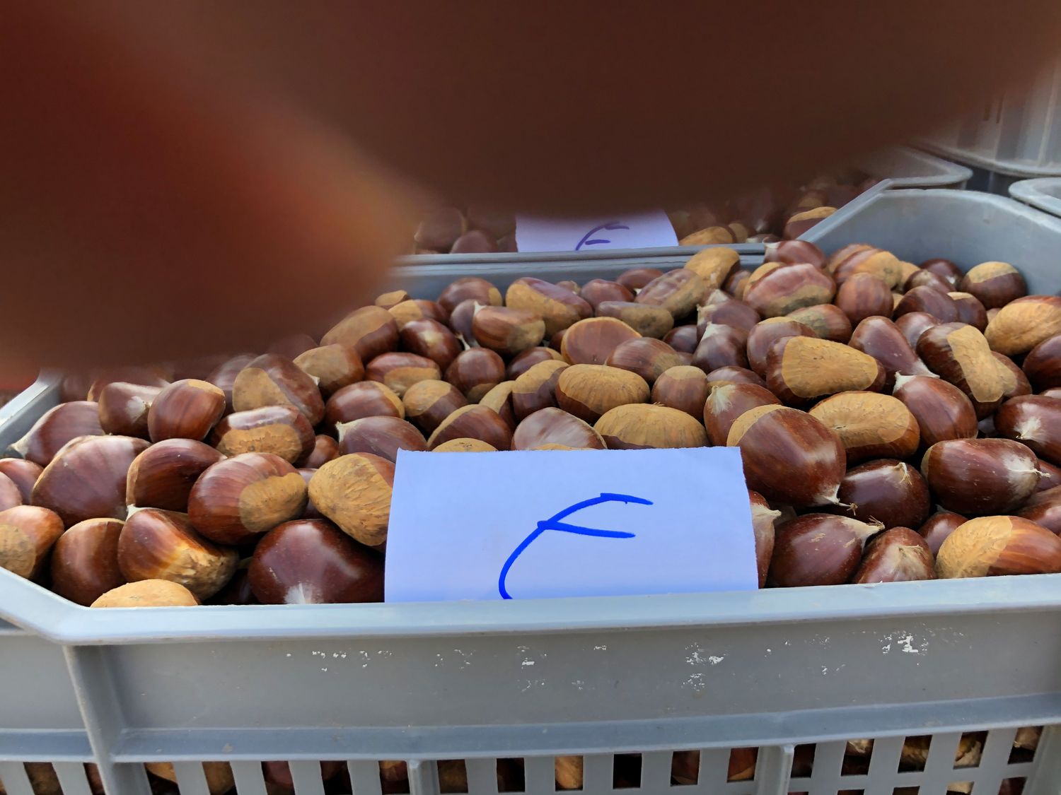 Chestnut French Marron perfect peeling 5 kg.