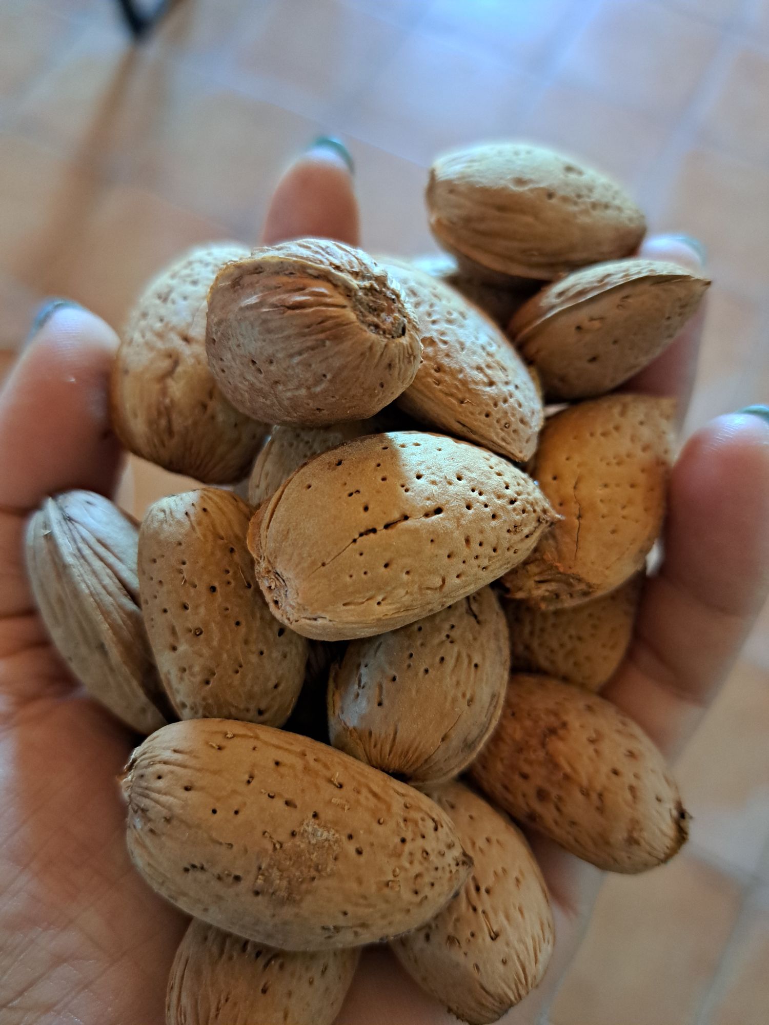 Almond Pizzuta or Tuono or Fascionello or Romana in shell 1kg production 2022 organic